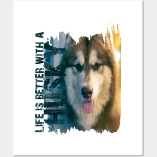 Siberian husky Posters and Art